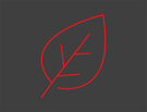Icon Biologie