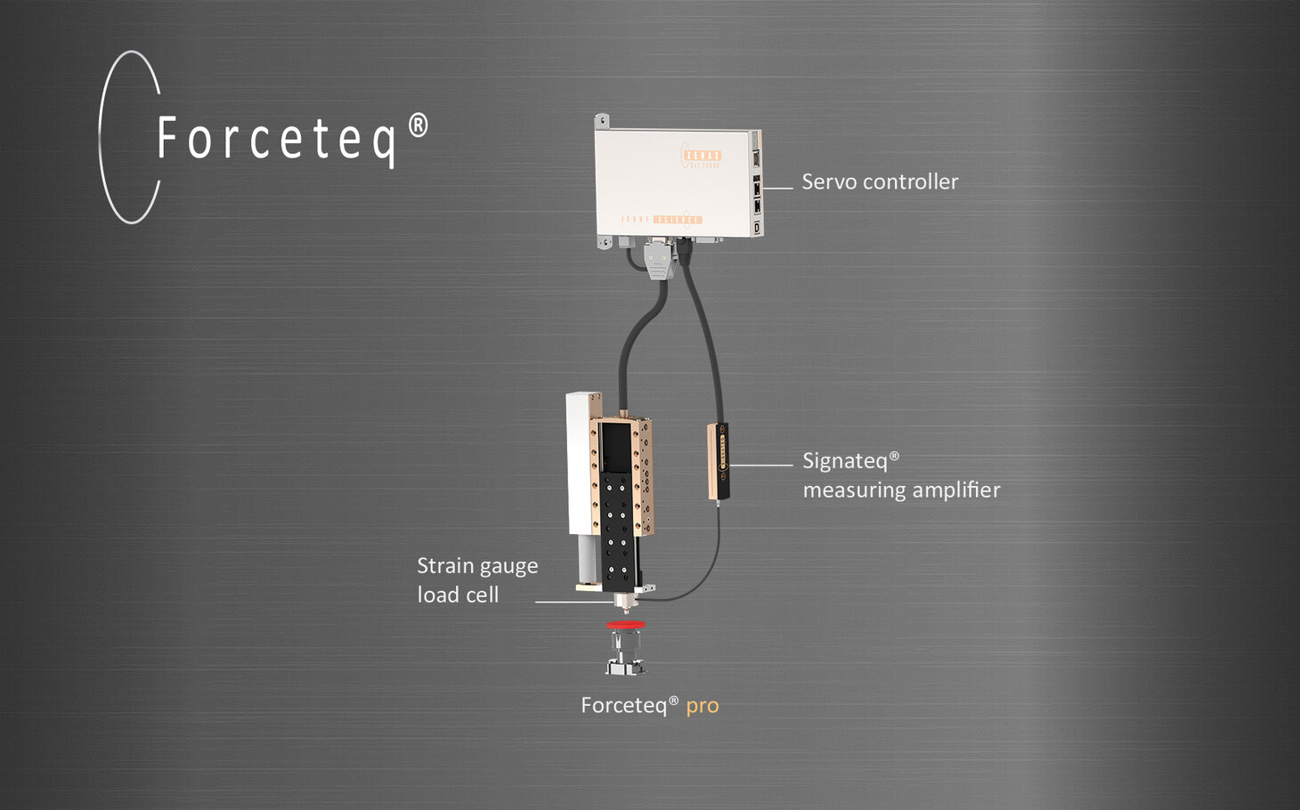Forceteq® pro: Advanced Force Measurement | Jenny Science AG